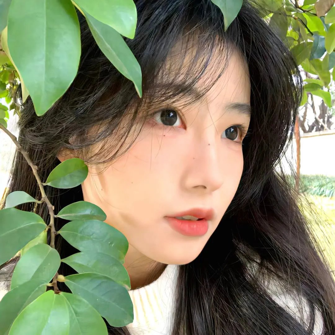双子镇